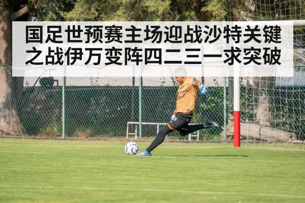 国足世预赛主场迎战沙特关键之战伊万变阵四二三一求突破